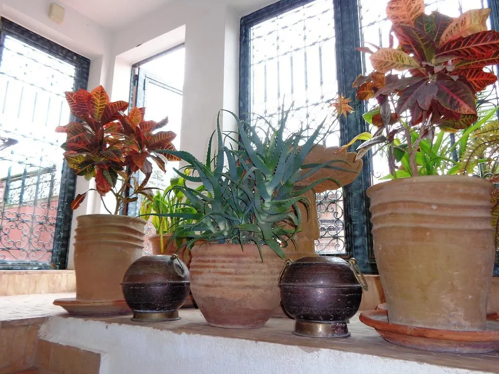 *** Guest house Riad Sesame Marrakesh Morocco