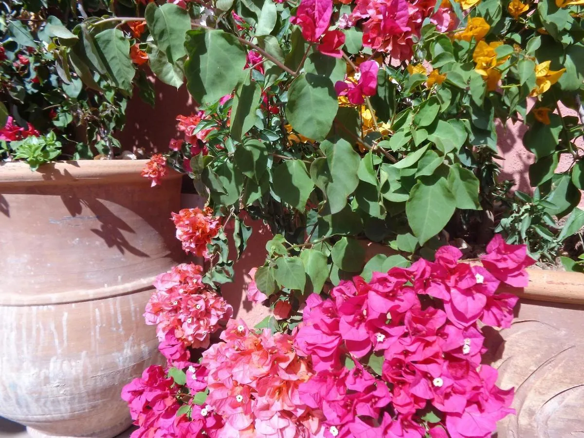 Riad Sesame Marrakesh Guest house