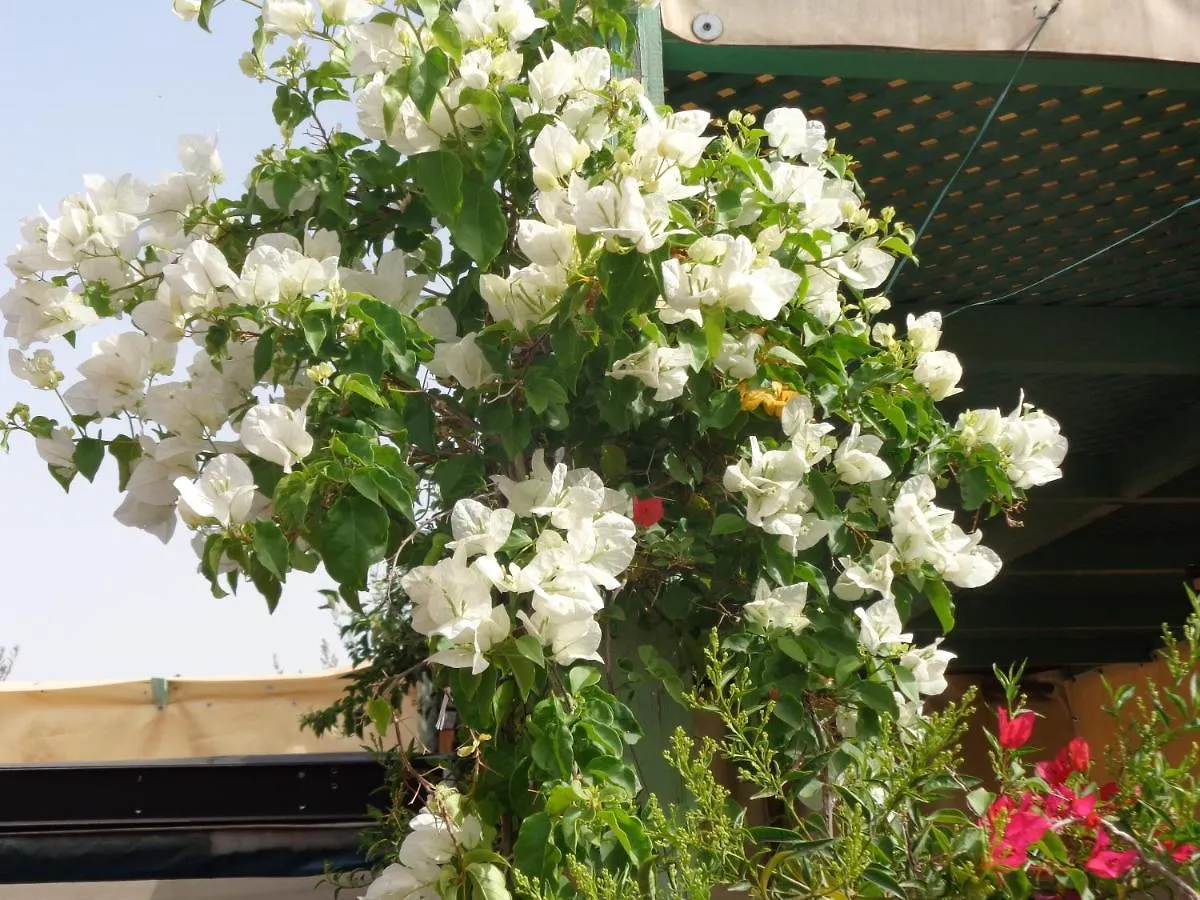 Riad Sesame Marrakesh